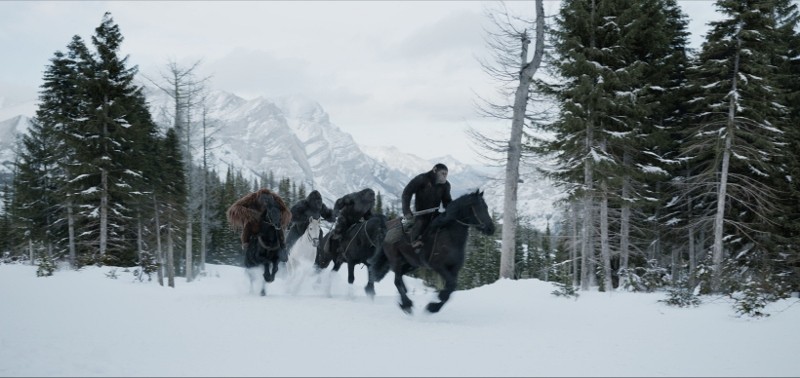 Apes on horseback with mountains