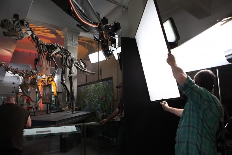 Shooting at Auckland's War Memorial Museum